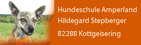 hundeschule-amperland