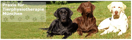http://www.tierphysiotherapie-planer.de